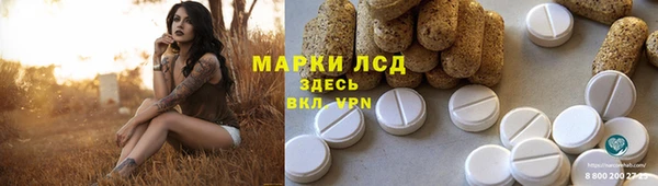 ГАЛЛЮЦИНОГЕННЫЕ ГРИБЫ Алзамай