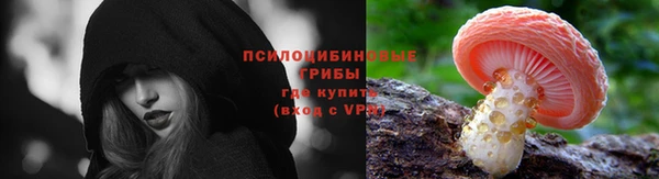 ГАЛЛЮЦИНОГЕННЫЕ ГРИБЫ Алзамай