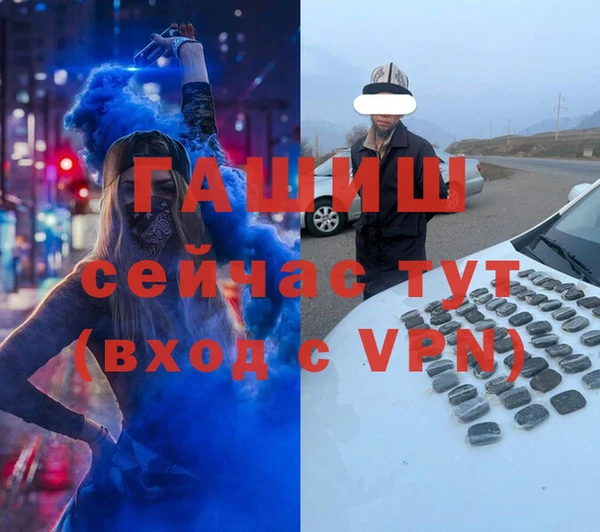 индика Сатка
