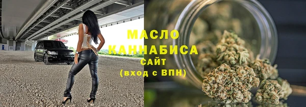 индика Сатка