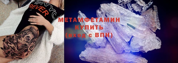 индика Сатка