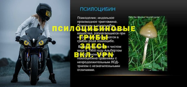эйфоретик Алексин