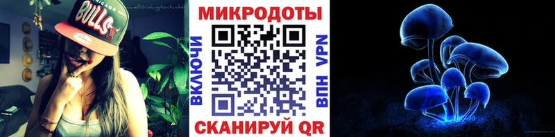 Галлюциногенные грибы прущие грибы  закладка  Жуков 